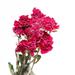 Angfeng 15 Heads Natural Rose Bouquet Real Roses Dried Flower Epoxy Resin Dry Plants For Candle Making Craft DIY Accessories Home Wedding Party Decoration(Style 6)