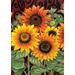 Toland Home Garden 110555 Sunflower Medley Fall Flag 12x18 Inch Double Sided for Outdoor summer House Yard Decoration