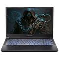 CAPTIVA Gaming-Notebook "Advanced Gaming I74-438" Notebooks Gr. 64 GB RAM 2000 GB SSD, schwarz Gaming Notebooks