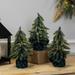 Northlight Seasonal 9" Faux Pine Tree in Pot Plastic in Green | 9 H x 5.5 W x 5.5 D in | Wayfair NORTHLIGHT HN95111