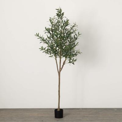 Sullivans 72" Artificial 6' Potted Olive Tree