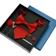 Ensemble de cravates de luxe pour hommes dans une boîte-cadeau nœud papillon de mariage festif