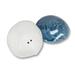 MDR Trading Inc. Porcelain Salt & Pepper Shaker Set in Blue/White | 1 H x 2.5 W in | Wayfair 27-BAHAMA-488