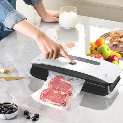 Seata Food Vacuum Sealer for Food Preservation & Sous Vide, Silver | 2.7 H x 15 W x 5.5 D in | Wayfair W2181P153968