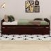 Red Barrel Studio® Lavelda Twin Size Platform Bed w/ Twin Size Trundle Wood in Brown | 22.1 H x 40.6 W x 77.4 D in | Wayfair