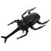 Toys Insect Prank Toy Teaching Props Beetle Model Beetle Insect Decorate Plastic Child