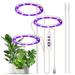 Grow Lights for Indoor Plants 3 Heads 4.8W 50.48lm 30+30LED USB Powered Grow Light 8H/12H/16H Timer 5 Dimmable Brightness Plant Growing Lamps for Succulents / Bonsai / Small Plants