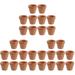 30 Pcs House Plants Terracotta Pot Pottery Pots Planter Succulent Plants Pots Small Plant Pots Miss