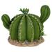 Artificial Plants Ornament Succulents Artificial Reptile Plants Terrarium Decor Reptiles Hiding Supplies Reptiles Shelter Climbing Pet Cactus Prickly Pear Aquarium Resin