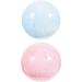 2 Pcs Gym Exercise Ball Swiss Pilates Balls Multi-use Reusable Yoga Portable Workout Accessory Fitness Toddler