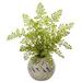 17 Maiden Hair Artificial Plant in Decorative Vase