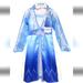 Disney Dresses | Disney Frozen Ii Elsa Adventure Dress | Color: Blue/Silver | Size: 4-6x