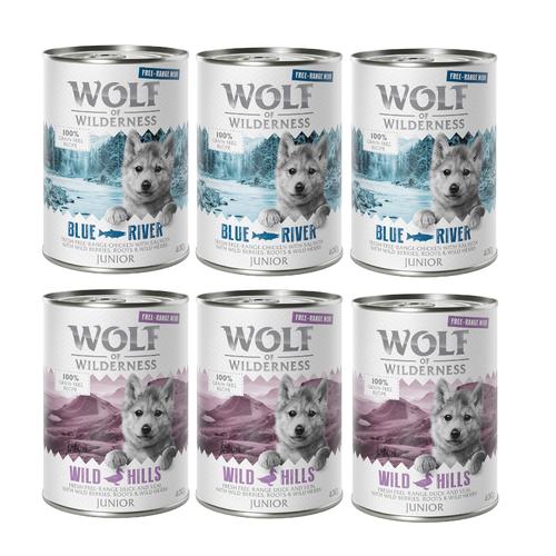 24x400g Little lot mixte 0% céréales Wolf of Wilderness pour chiot - Nourriture pour chien