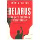 Belarus - The Last European Dictatorship - Andrew Wilson, Kartoniert (TB)