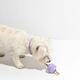 Twist Toss Dog Toy - Lilac by WildOne