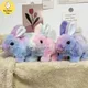 Jouet en peluche lapin électrique pour enfants cadeau d'anniversaire lapin aléatoire camSolomon