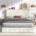 Ivy Bronx Krystalia Hydraulic Lift Up Storage Platform Bed w/ LED lights & Charging Station Upholstered/Velvet in Brown | Wayfair