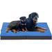 Tucker Murphy Pet™ Foldable Durable Cooling Dog Bed Orthopedic for Outside Indoor Polyester in Blue | 3 H x 41 W x 29 D in | Wayfair