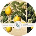 US Letter Junk Journal Zitronen Lemonen Papier Vorlagen liebevoll künstlerische Seiten Basteln Botanic Vintage Labels Tags Natur momentrees