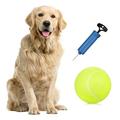 Htovila Inflator Balls Inflatable Tennis Balls Children Ball Pump Toy Oversize Tennis Pump Toy Balls Tennis Ball Ball QINQUAN 9.5 ERYUE Children Ball HUIOP 9.5â€˜â€™