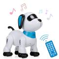 LE NENG TOYS Robot Voice Music Remote Toy Voice HUIOP LE Music Toy Kids K21 Stunt Toy Kids Birthday ERYUE