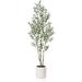 LOMANTO Artificial Olive Trees 6 ft Tall Fake Olive Trees for Indoor Faux Olive Silk Tree Large Olive Plants with White Planter for Home Decor and Housewarming Gift 1 Pack