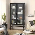 Latitude Run® Double Glass Door Storage Cabinet w/ Adjustable Shelves & Feet Cold-Rolled Steel Sideboard Furniture in Black | Wayfair