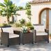 Futzca 3 Piece Patio Furniture Set with Glass Table