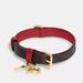 Coach Dog | Coach Boxed Small Pet Collar Brown Black / Red Apple Ch144 Cat Dog Gift | Color: Brown/Red | Size: Os