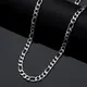 Collier Figaro à Maillons en Acier Inoxydable pour Homme et Femme Ras du Cou Étanche de Haute