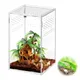 Boîtier magnétique en acrylique boîtier de tarentule arboréale terrarium Kiev itat pour reptiles