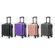 ABS-Shell Cabin Luggage,Purple
