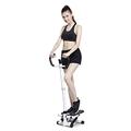 Mini-Stepper Swing Stepper Step Machine with Safety Armrest and Smart Dial Twist Stair Steppe Workout Fitness Machine