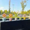 Ornements d'intérieur de voiture de fleurs en pot oscillantes décoration de console centrale de