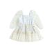 Baby Girl A-Line Dress Daisy Print Long Sleeves Mesh Tulle Party Dress