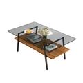 Wrought Studio™ Glass Coffee Table, Mid Century 2 Tier Rectangle Accent Table Glass in Gray/Black | 16.73 H x 38.58 W x 22.84 D in | Wayfair