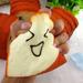 Travelwant Slow Rising Squeeze Toys Toast Bread Squishy Expression Card Cellphone Holder Hand Pillow Stress Relief Xmas Gifts Christmas Party Favor Party Bag Stocking Fillers