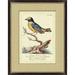 Wendover Art Group Golden Tit Mouse - Picture Frame Graphic Art Glass in Blue/Yellow | 29 H x 23 W x 1 D in | Wayfair PG1057