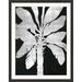 Wendover Art Group Silver Leaf Palm 2 - Picture Frame Graphic Art Paper in Black/Gray/Green | 48 H x 38 W x 1 D in | Wayfair PG1902