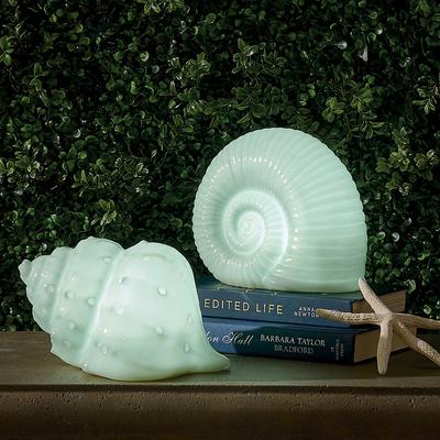 Pre-Lit Tabletop Shells - Sea Shell - Grandin Road