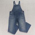 Madewell Jeans | Madewell Skinny Distressed Denim Jean Overalls Women's Small Adrian Wash B9135 | Color: Blue | Size: 2