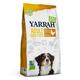 2kg Organic Chicken Adult Yarrah Organic Dry Dog Food