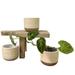 Admired by Nature Set of 3 Modern 3 Ceramic Flower Plant Planters Ceramic Pot Planter Indoor Ceramic Houseplant Cactus Ceramic Pot Decorative Planter For Indoor Succulent Plant Home DÃ©cor Tan