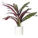 Vickerman 18.9 Plant Ceramic in White | 18.9 H x 14.9 W x 18.9 D in | Wayfair TA222319