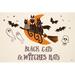 The Holiday Aisle® Spooktacular I Witches Hats by Janelle Penner - on Paper/Metal | 32" H x 48" W | Wayfair 8C17D8C65D8A4214A62AA1790B68CEF1