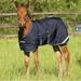 Horseware Ireland Amigo Foal Blanket Turnout 200g Fig/Tan 42/48