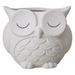 Owl Plants Pots White Ceramics Planter Planter Planter for Desk Plants Owl Decoration Gift for Office Desk Bookshelf