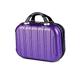 HAHONIA Cosmetic Case for Women, Hard Shell Vanity Cases with Elastic Band and Zipper, Portable Waterproof ABS Beauty Case, Deep Purple, L