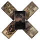 The Legend Of The Wizard Cards Laird Lenormand Cards Oracle A 39 English Evessor Ination Edition