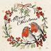 The Holiday Aisle® Christmas Lovebirds V Paper, Solid Wood in Green/Red/White | 30 H x 30 W x 1.25 D in | Wayfair E1D59524B01A4F66B9E6A3F166F8B215